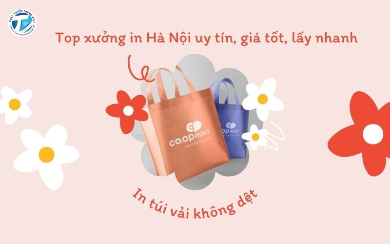 Top Xưởng In Túi Vải Không Dệt Hà Nội Uy Tín, Giá Tốt